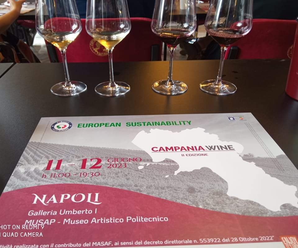 A Napoli grande successo per Campania Wine 